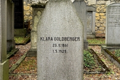Goldberger
